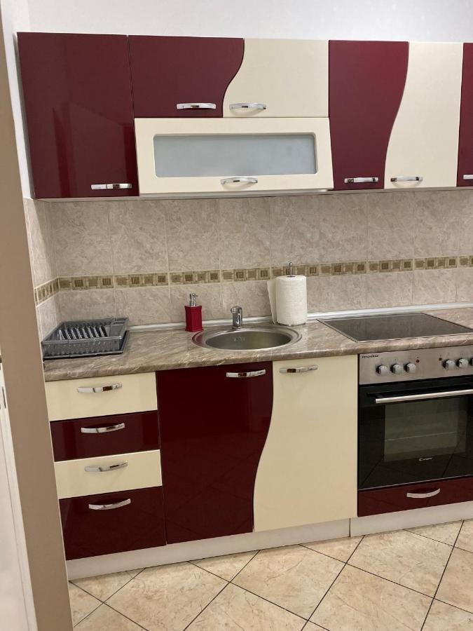 Apartman Ns Dan Centar Novi Sad Bagian luar foto