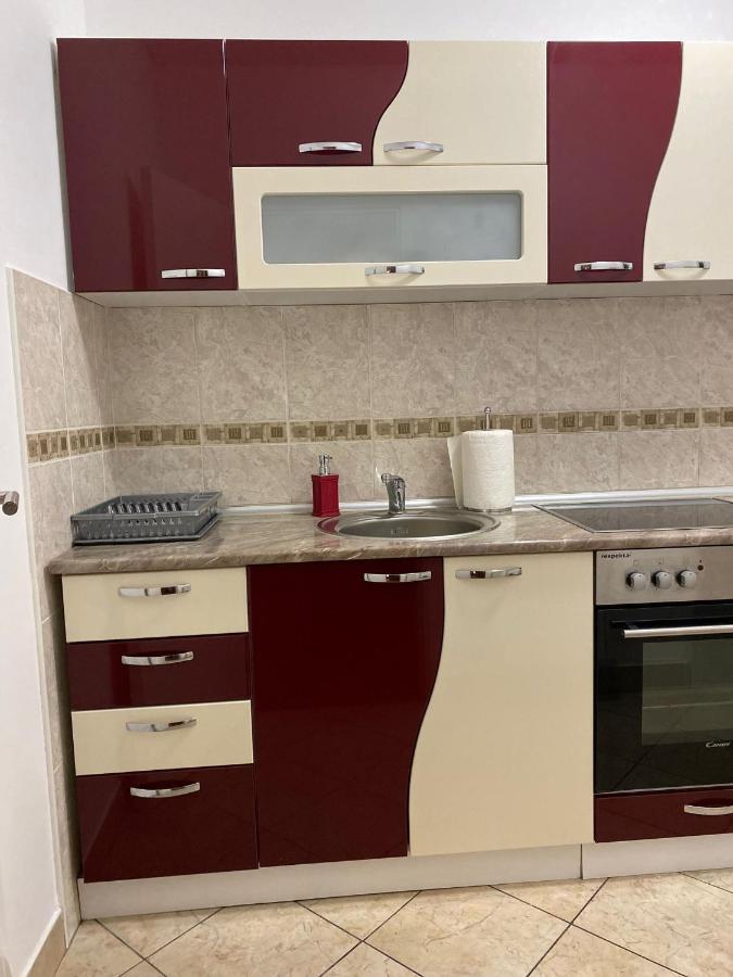 Apartman Ns Dan Centar Novi Sad Bagian luar foto